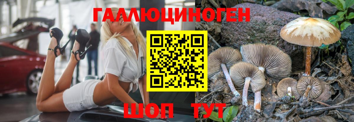 Псилоцибиновые грибы Magic Shrooms Луховицы